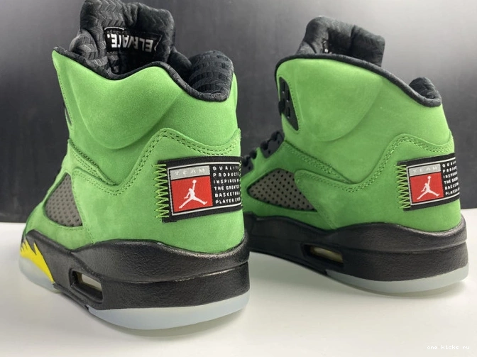 Chep Onekick SE Jordan Air Ducks Oregon 5 CK6631-307 0531